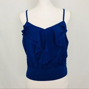 Royal Blue Top By Mine